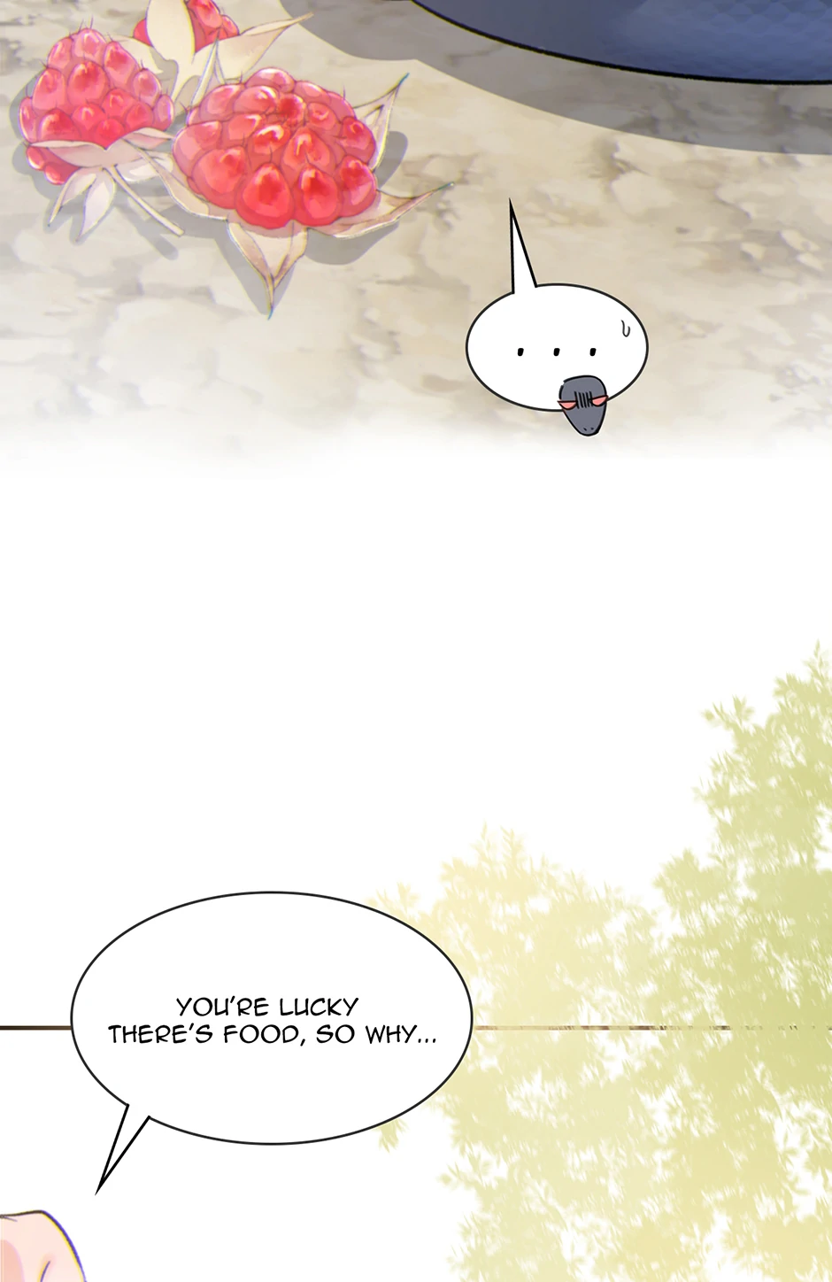 74052325 940 1448 87628